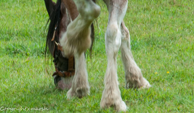 CLM_4879.jpg - 'Attitude'