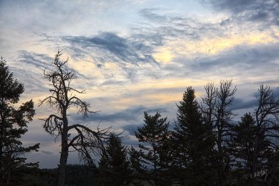 _MG_5139.jpg