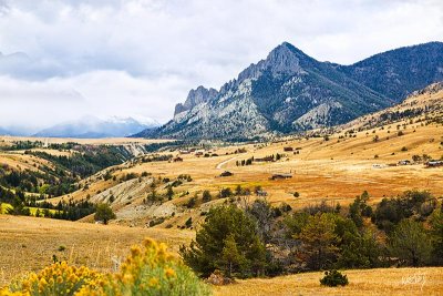 _MG_5141.jpg