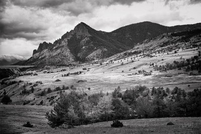 _MG_5152-Edit_B&W.jpg
