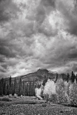 _MG_5274.jpg