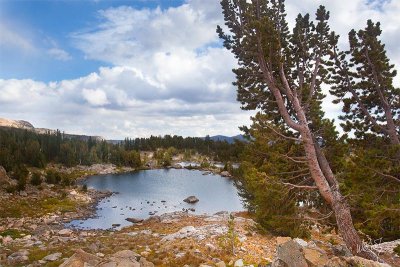 _MG_5437_as_Smart_Object-1.jpg