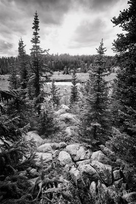 _MG_5471_as_Smart_Object-1.jpg