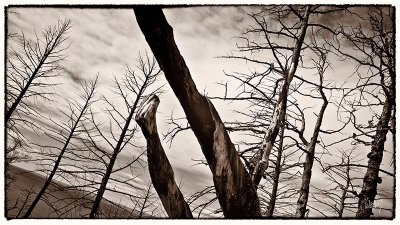_MG_5596_as_Smart_Object-1.jpg