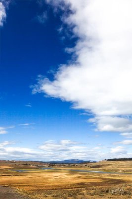 _MG_5884_as_Smart_Object-1.jpg