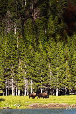 _MG_6187_as_Smart_Object-1.jpg