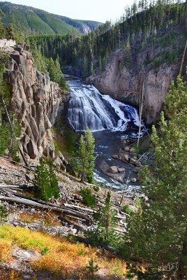 _MG_7352.jpg