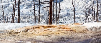_MG_7528_asSO.jpg