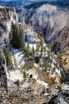 _MG_7913_4_5_TM.jpg