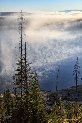 _MG_8464_as_Smart_Object-1.jpg