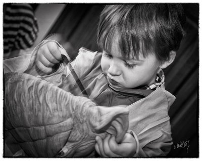 _MG_1197_as_Smart_Object-1.jpg