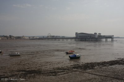 New Grand Pier and Wheel