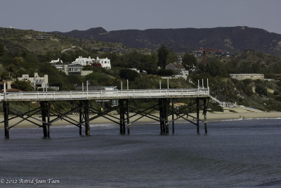 Pacific Cove Beach