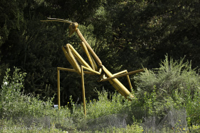 Big Bugs in the Garden Exhibit 2012