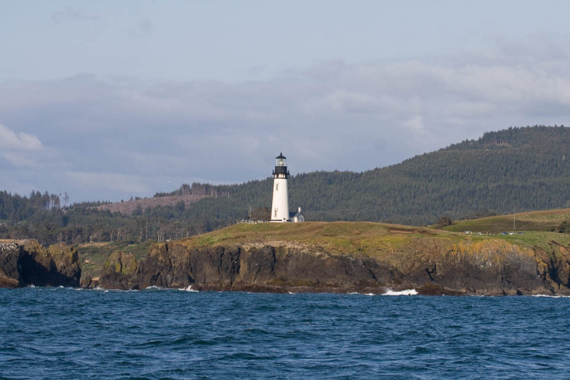 Yaquina Head