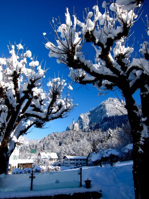 bavarian_winter_-11