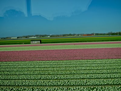IMG_0897.jpg