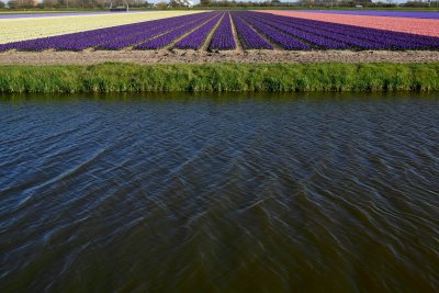 IMG_3855.jpg