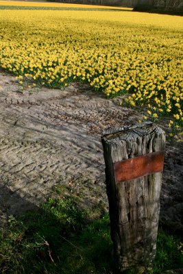IMG_3970.jpg