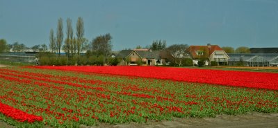 IMG_4012.jpg