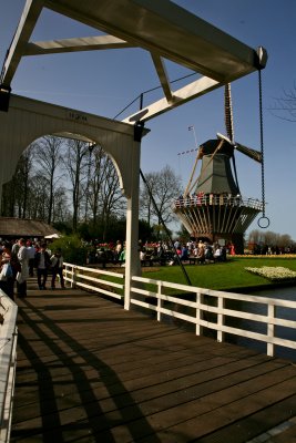 IMG_4281.jpg