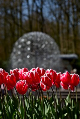 IMG_4319.jpg