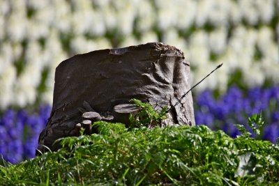 IMG_4576.jpg
