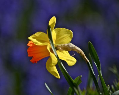 IMG_4590.jpg