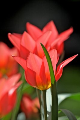 IMG_4620.jpg