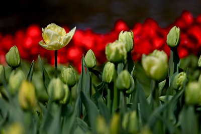 IMG_4684.jpg