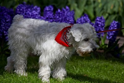 IMG_4749.jpg
