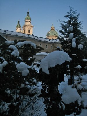 IMG_7918.jpg