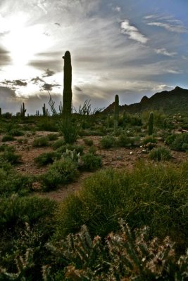 IMG_1103.jpg