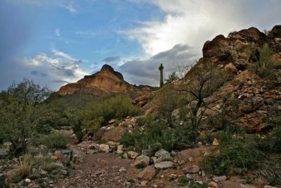 IMG_1124.jpg