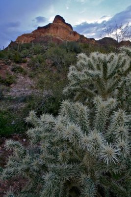 IMG_1132.jpg