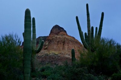 IMG_1169.jpg