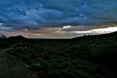 IMG_1181.jpg