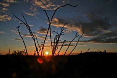 IMG_1345.jpg