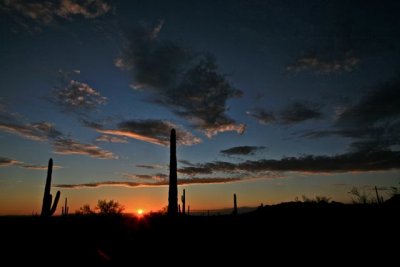 IMG_1357.jpg