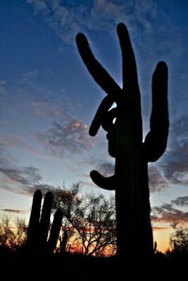 IMG_1367.jpg