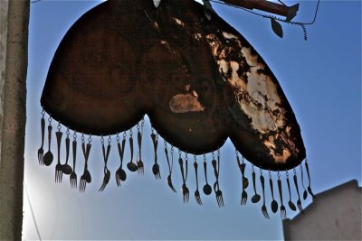 IMG_1620.jpg
