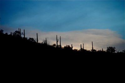 IMG_1622.jpg