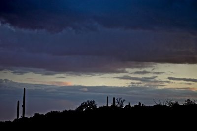 IMG_1626.jpg