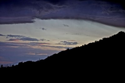 IMG_1629.jpg