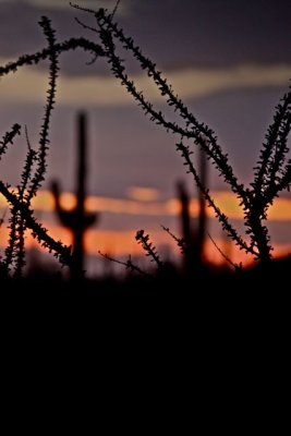 IMG_1663.jpg