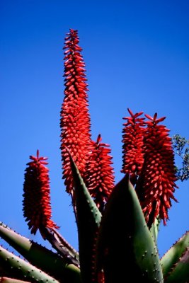 IMG_1664.jpg