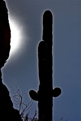 IMG_1692.jpg