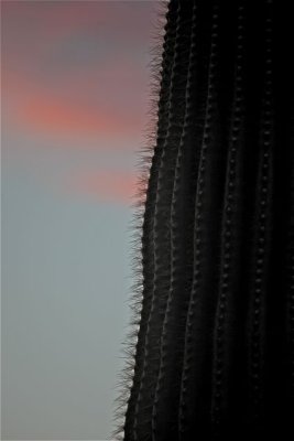 IMG_1788.jpg