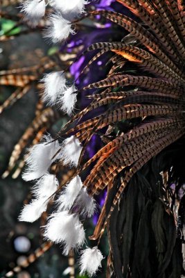 IMG_2068.jpg