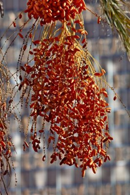 IMG_2198.jpg